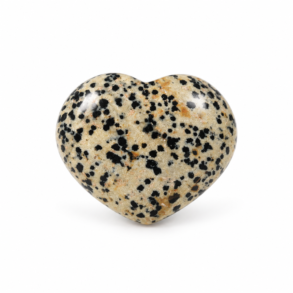 Polished Dalmatian Jasper heart-shaped palm stone showing natural colour and markings