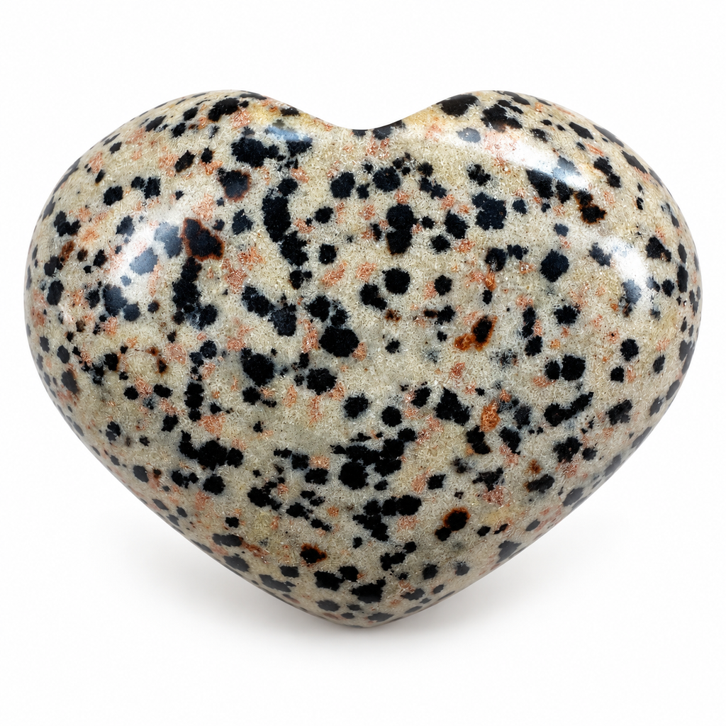 Polished Dalmatian Jasper heart-shaped palm stone showing natural colour and markings