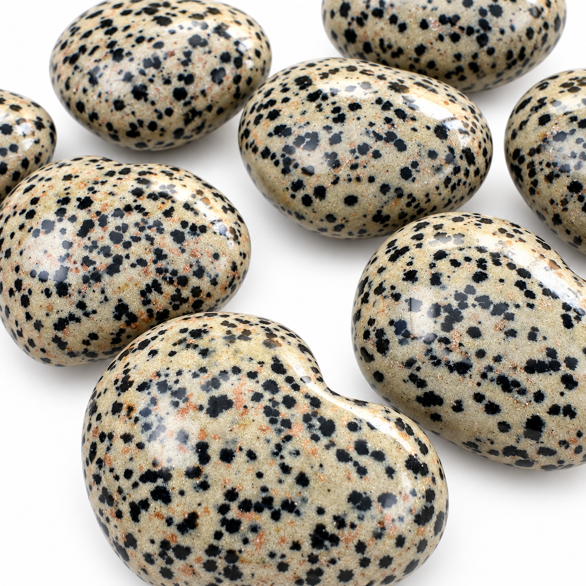 Group of polished Dalmatian Jasper heart-shaped palm stones showing natural variations