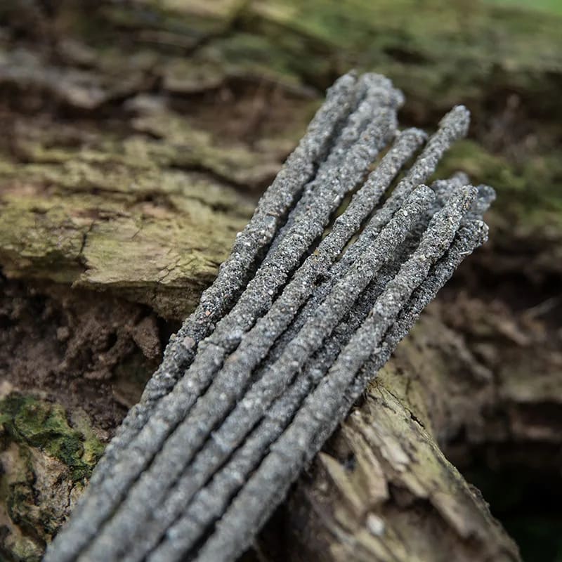 Incense and mindful home ritual inspiration with aromatic sticks and natural materials
