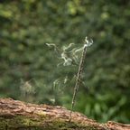 Incense and mindful home ritual inspiration with aromatic sticks and natural materials