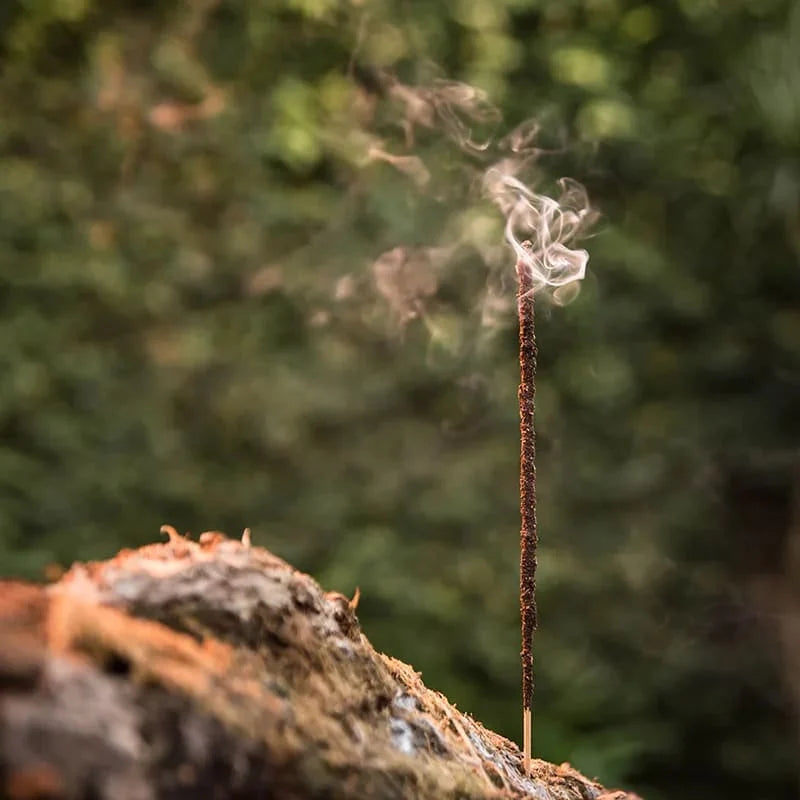 Incense and mindful home ritual inspiration with aromatic sticks and natural materials